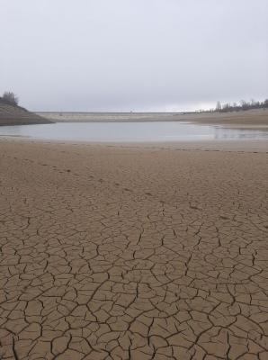 Прикрепленное изображение: 130715096_2305525396247196_1953143324841051938_o.jpg